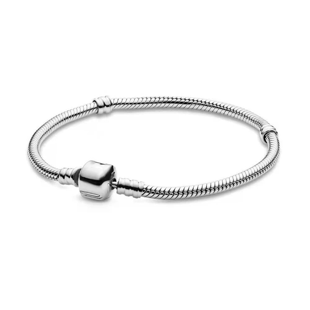 Silver Snake Chain Bracelet with Clasp