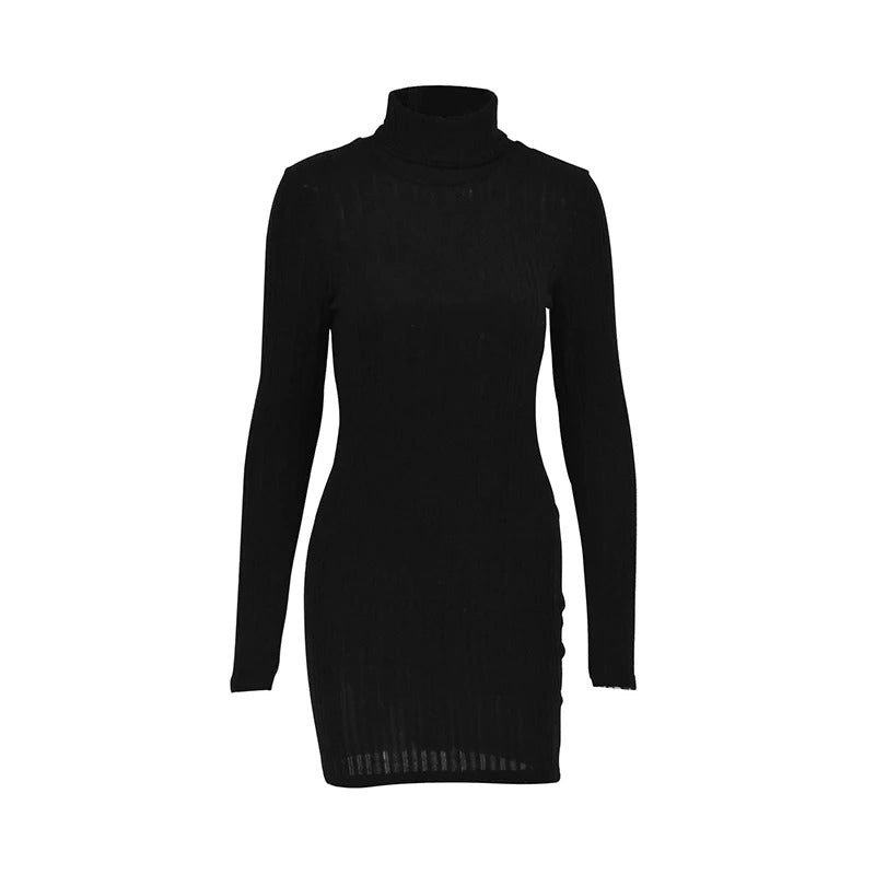 Black turtleneck mini dress